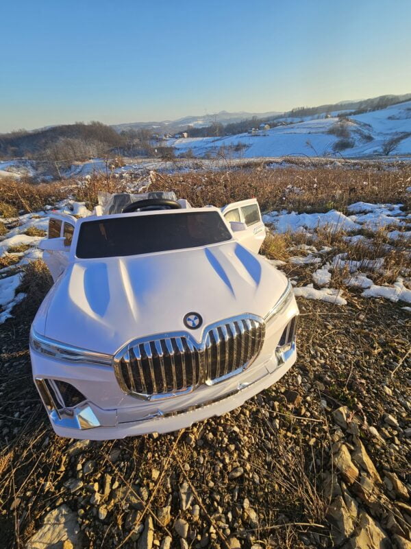 BMW X7 - Image 9