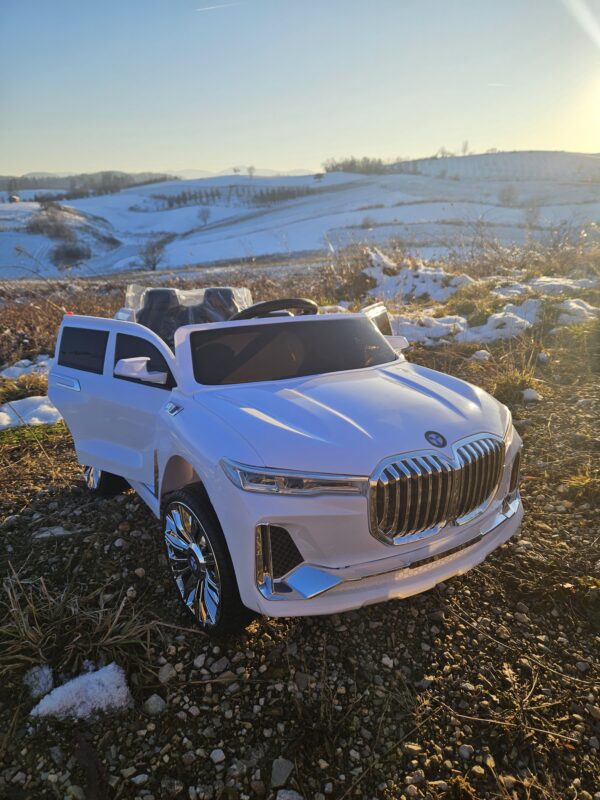 BMW X7 - Image 10