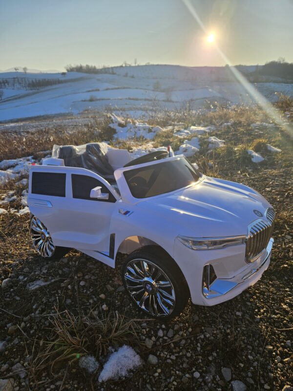 BMW X7 - Image 15