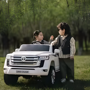 Toyota Land Cruiser 4x4 Beli